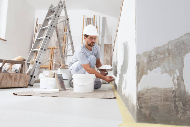 Best Repainting for Renovations  in Akron, OH