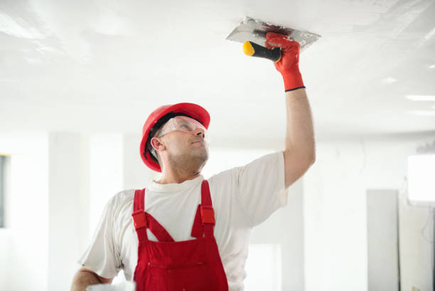 Best Residential Painting  in Akron, OH